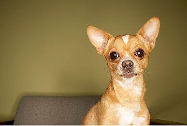 《黑神话：悟空》IGN 8分  优化不足但战斗出色